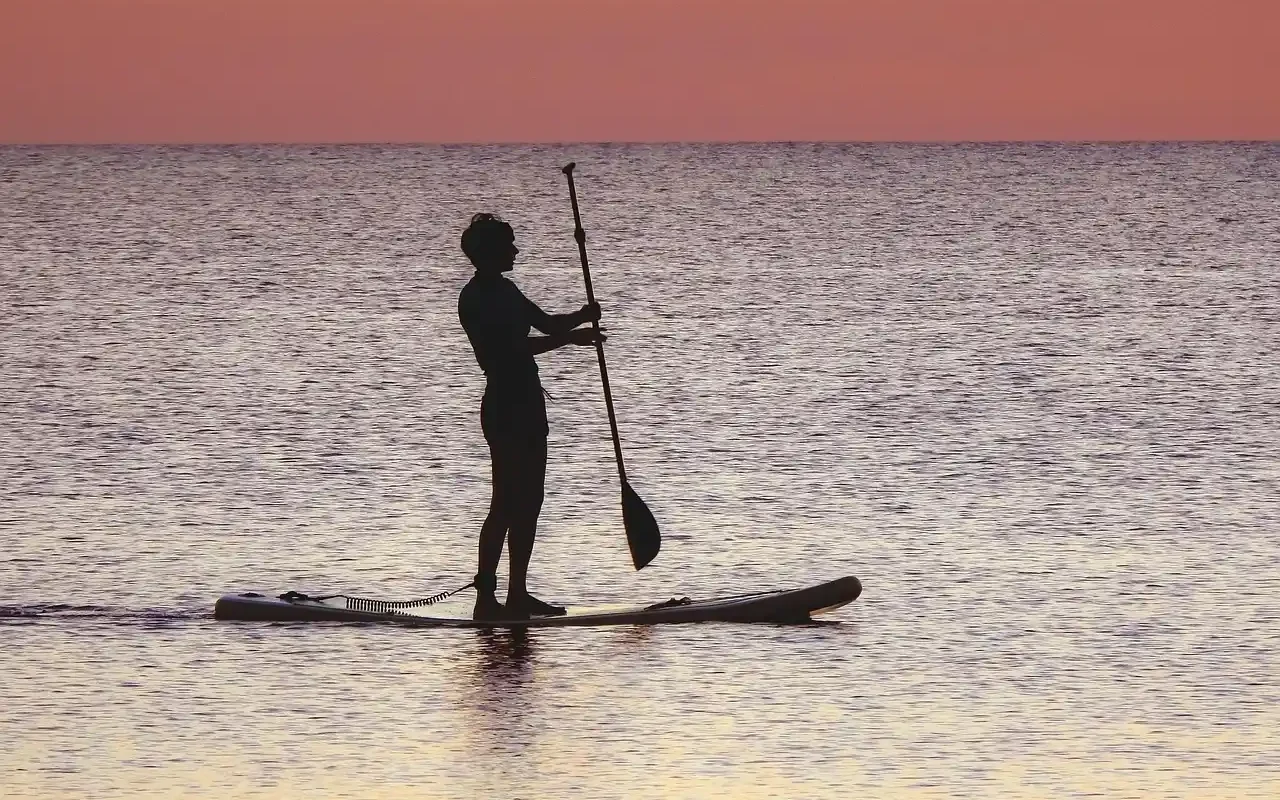 Aileron Paddle (SUP) : Guide Complet pour Bien Choisir en 2026