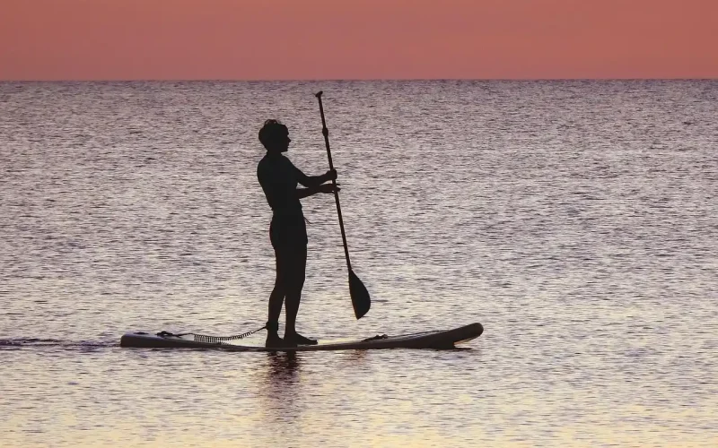 Aileron Paddle (SUP) : Guide Complet pour Bien Choisir en 2026