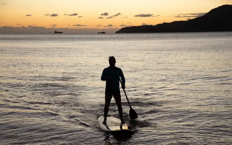 Pagaie Paddle : Comment Bien Choisir + Notre Recommandation 2026