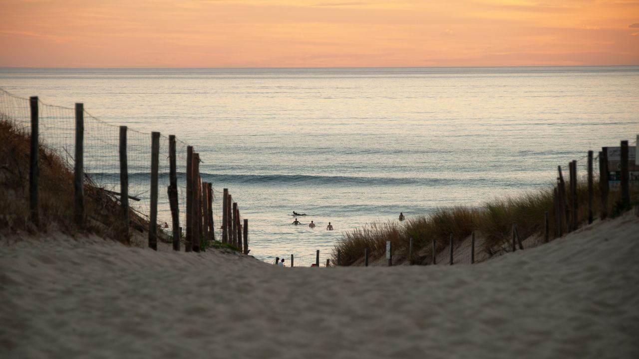 Location Paddle Hossegor 2026 : Tarifs, Spots & Bons Plans